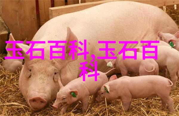 和田玉升值案例这些都是潜力股看和田玉升值排行榜
