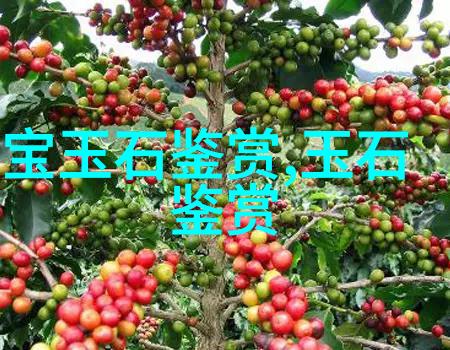 书画鉴赏丨写意山水欣赏